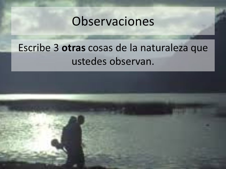 Escribe 3 otras cosas de la naturaleza que ustedes observan.