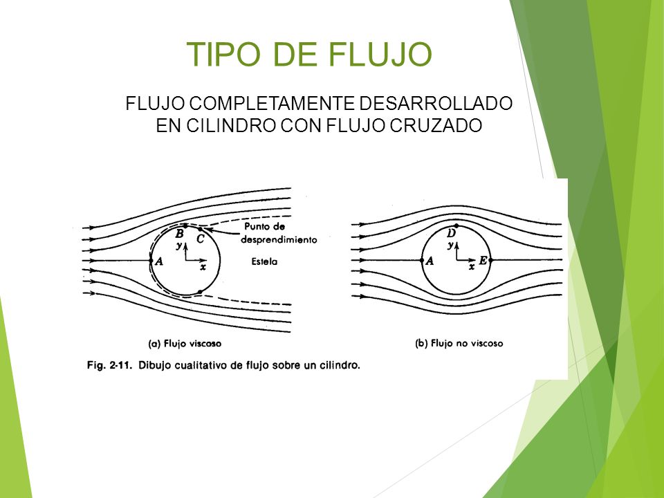 TIPO DE FLUJO FLUJO COMPLETAMENTE DESARROLLADO