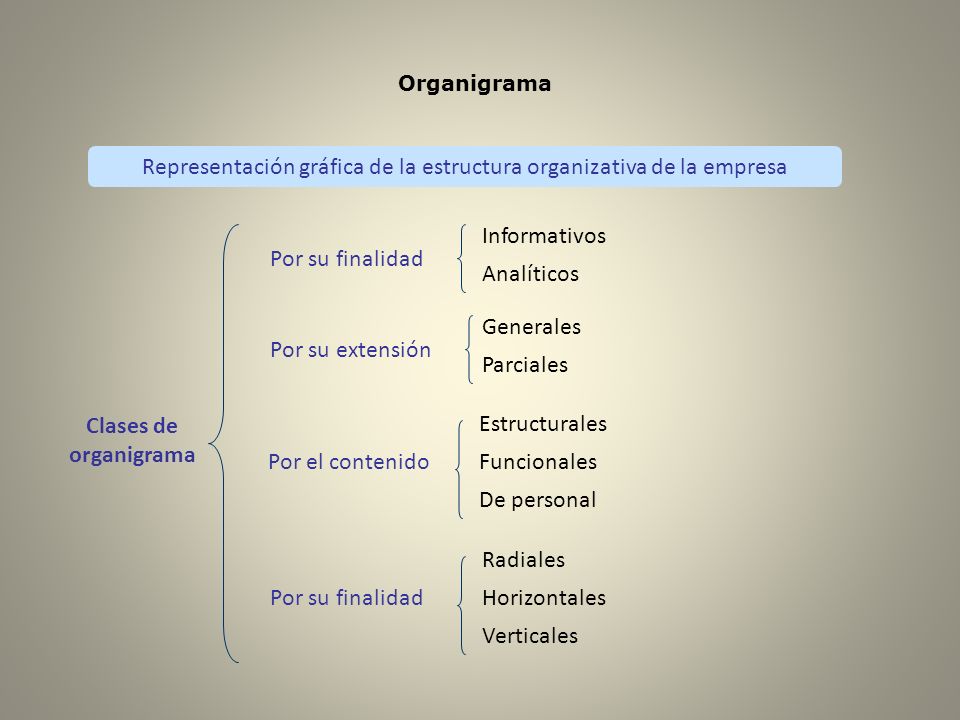 Representación gráfica de la estructura organizativa de la empresa