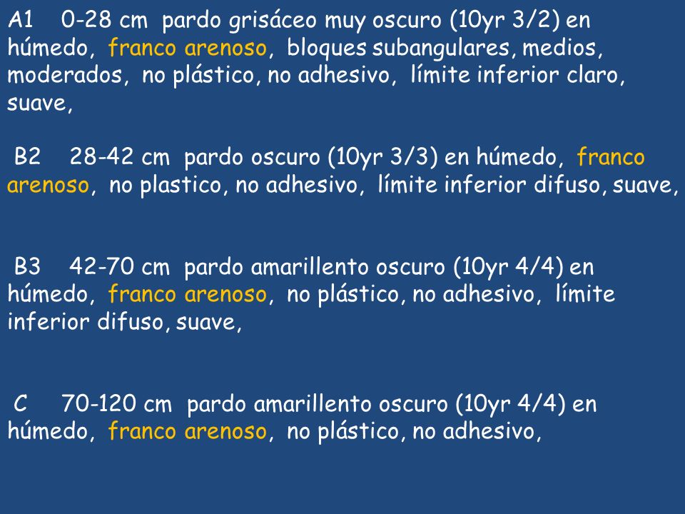 A cm pardo grisáceo muy oscuro (10yr 3/2) en húmedo, franco arenoso, bloques subangulares, medios, moderados, no plástico, no adhesivo, límite inferior claro, suave,