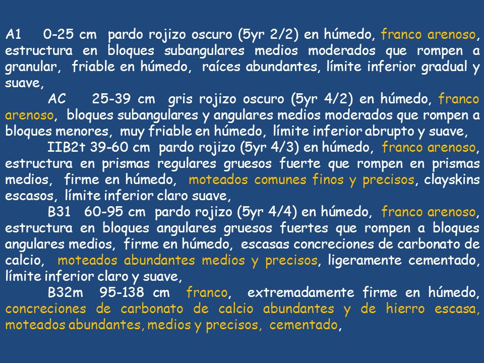 A cm pardo rojizo oscuro (5yr 2/2) en húmedo, franco arenoso, estructura en bloques subangulares medios moderados que rompen a granular, friable en húmedo, raíces abundantes, límite inferior gradual y suave,