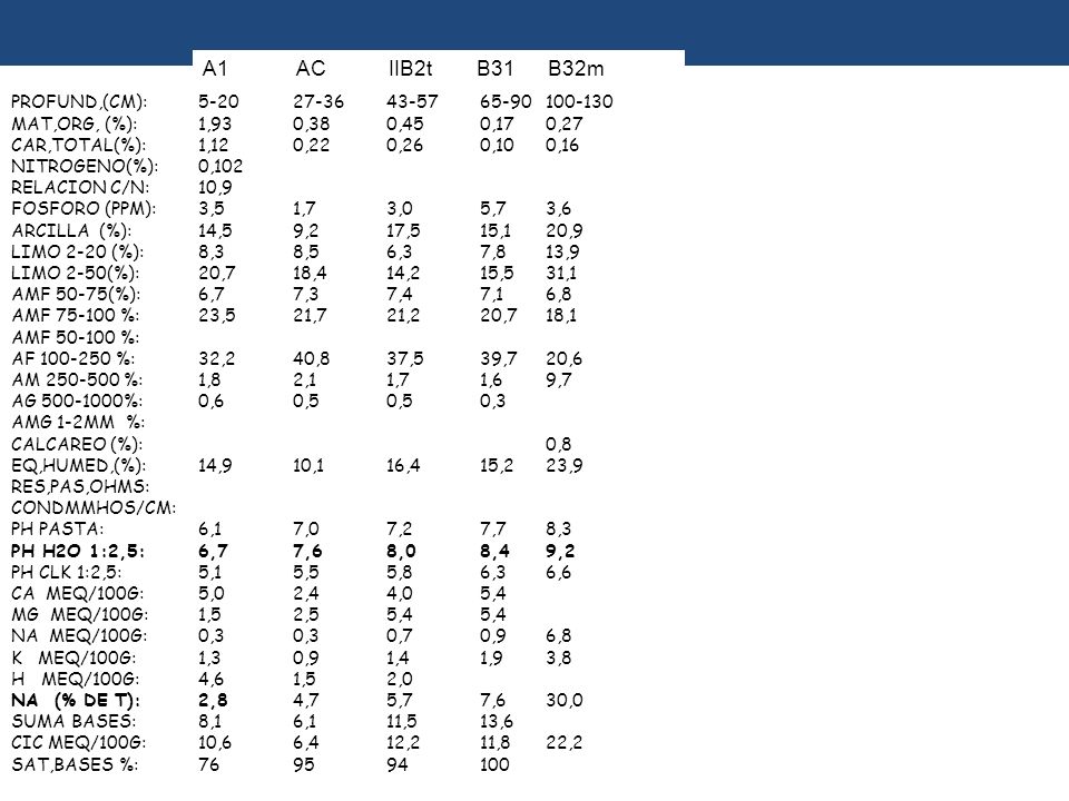 A1 AC IIB2t B31 B32m HORIZONTE: A1 AC IIB2t B31 B32m