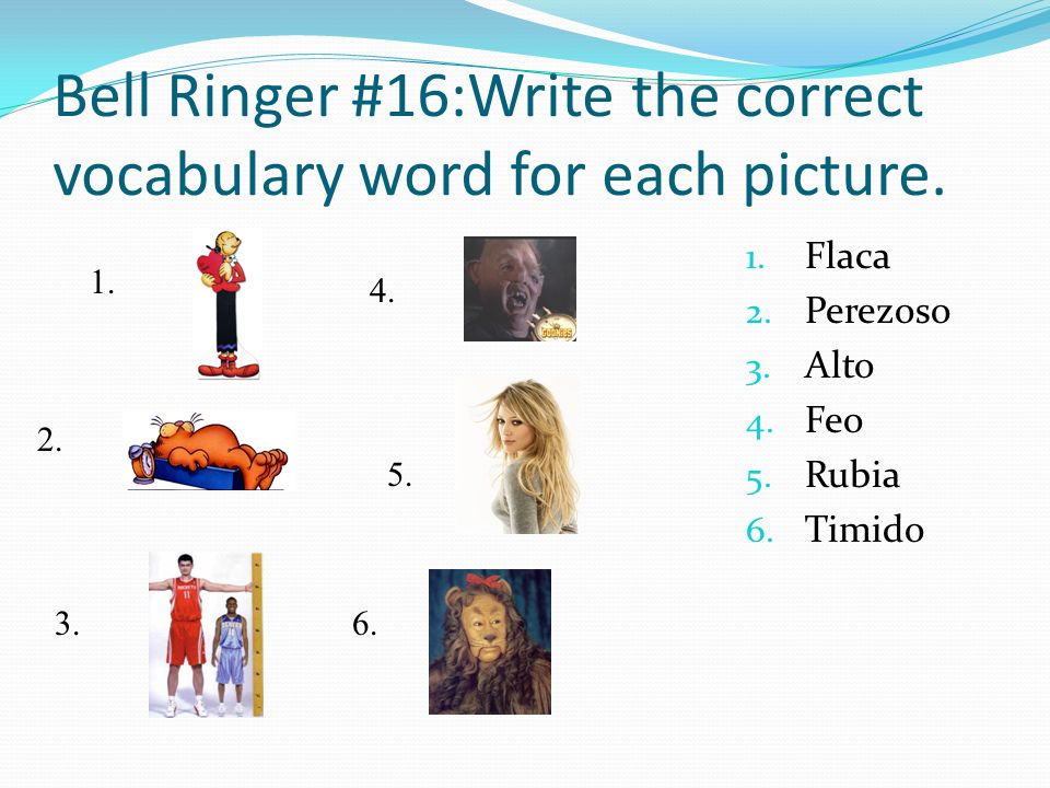 Bell Ringer #16:Write the correct vocabulary word for each picture.