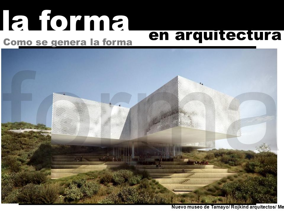 forma la forma en arquitectura Como se genera la forma