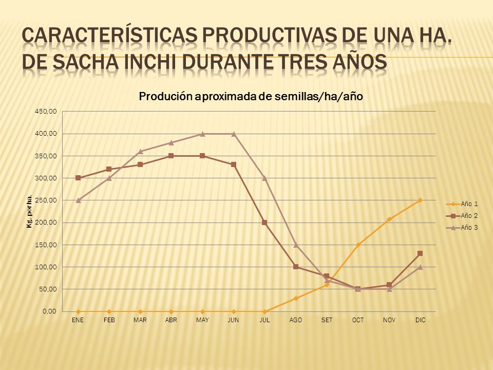 Características productivas de una ha. de sacha inchi durante tres años