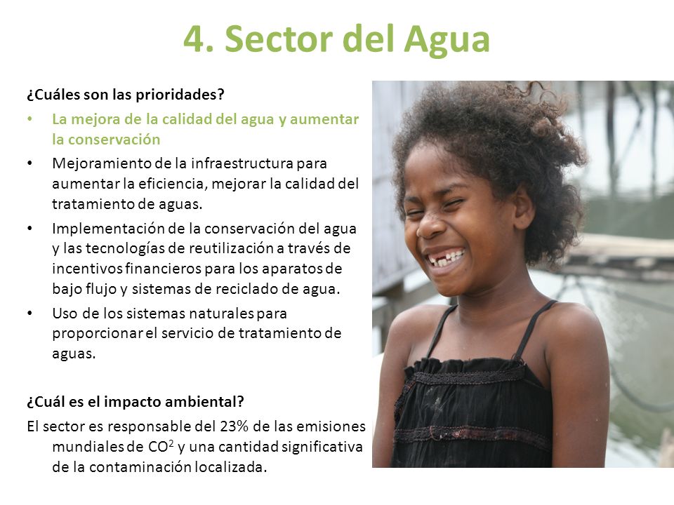 4. Sector del Agua ¿Cuáles son las prioridades