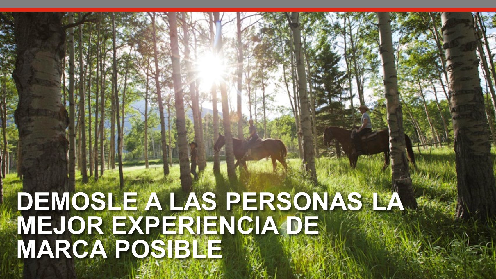 DEMOSLE A LAS PERSONAS LA MEJOR EXPERIENCIA DE MARCA POSIBLE