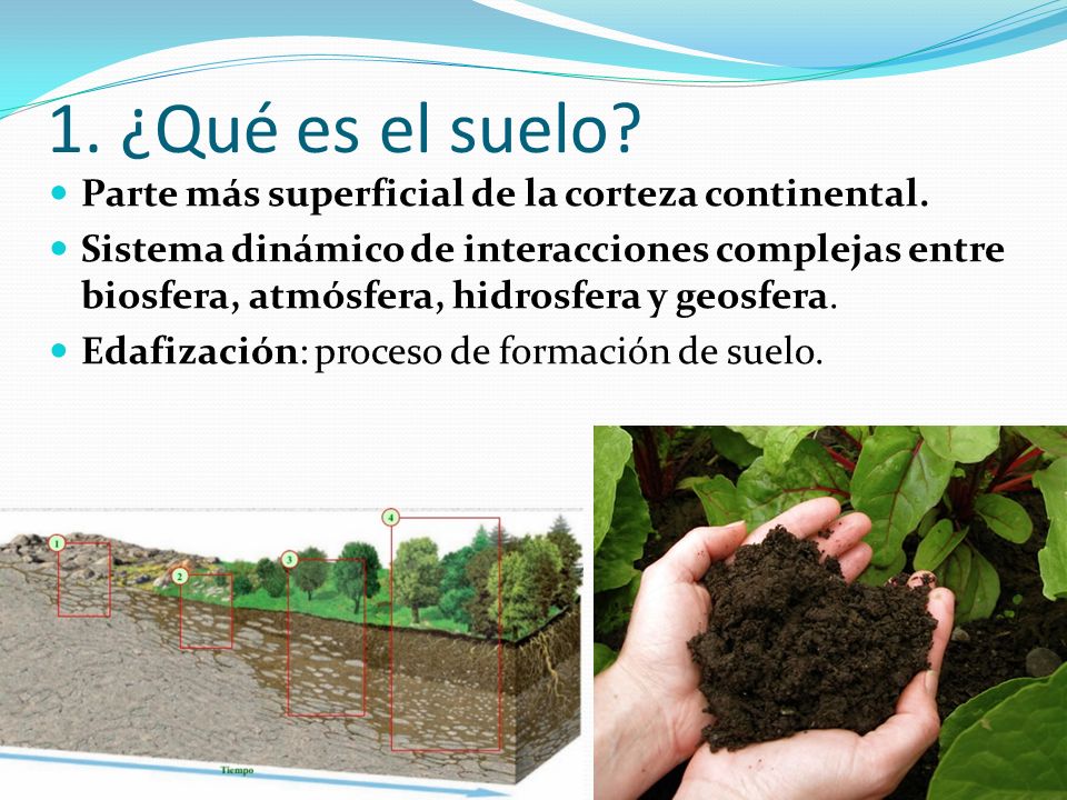 1. ¿Qué es el suelo Parte más superficial de la corteza continental.