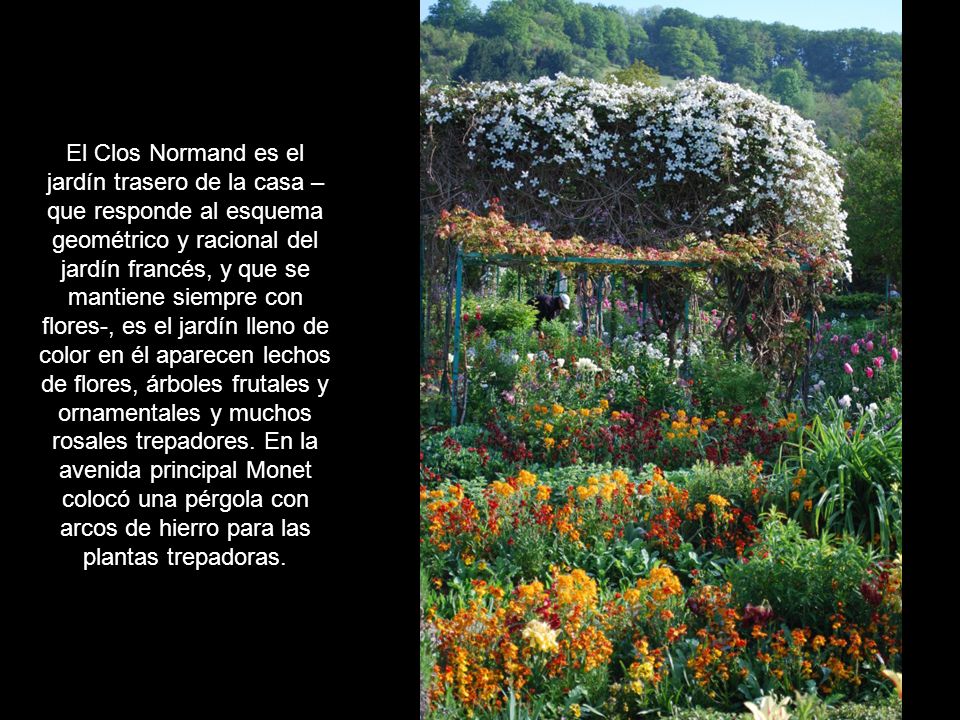 El Clos Normand es el jardín trasero de la casa –que responde al esquema geométrico y racional del jardín francés, y que se mantiene siempre con flores-, es el jardín lleno de color en él aparecen lechos de flores, árboles frutales y ornamentales y muchos rosales trepadores.
