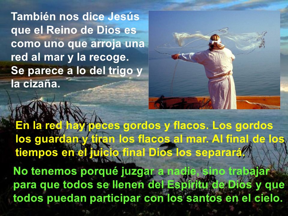 También nos dice Jesús que el Reino de Dios es como uno que arroja una red al mar y la recoge. Se parece a lo del trigo y la cizaña.