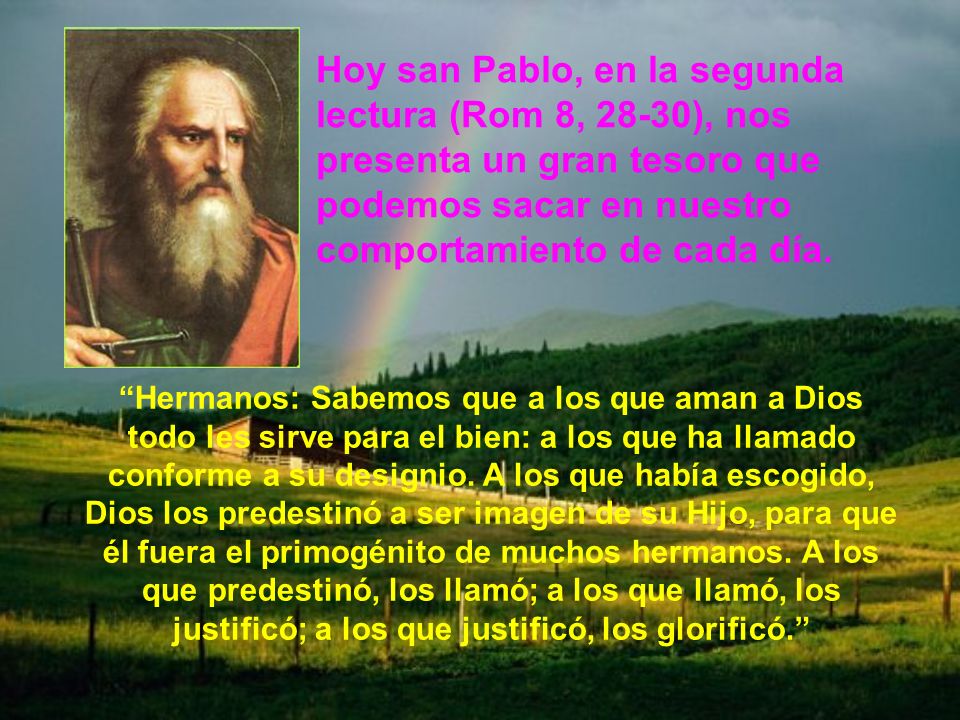 Hoy san Pablo, en la segunda lectura (Rom 8, 28-30), nos presenta un gran tesoro que podemos sacar en nuestro comportamiento de cada día.