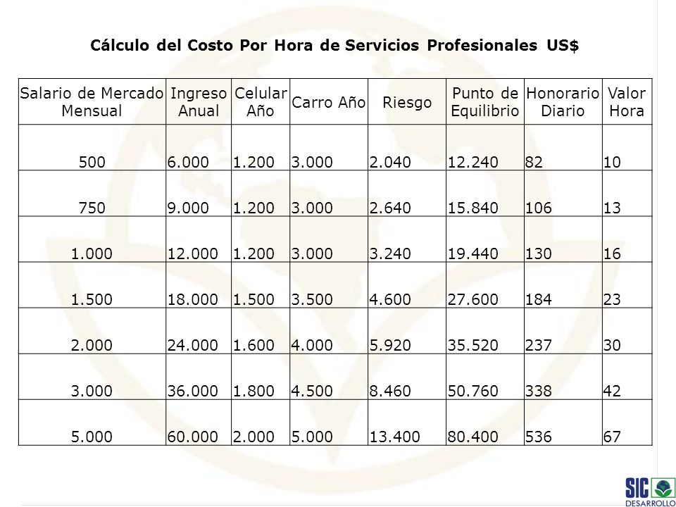 Cálculo del Costo Por Hora de Servicios Profesionales US$
