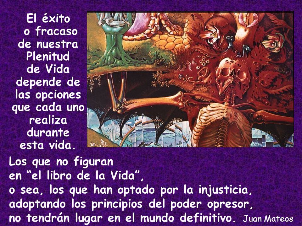 El éxito o fracaso. de nuestra. Plenitud. de Vida. depende de. las opciones. que cada uno. realiza.
