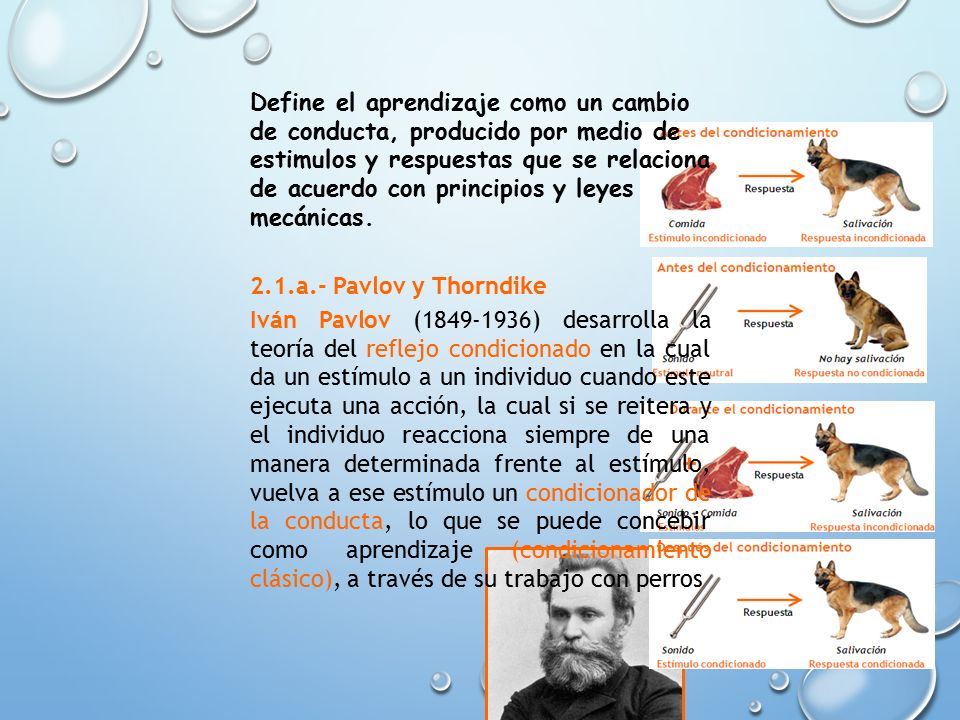 Define el aprendizaje como un cambio de conducta, producido por medio de estimulos y respuestas que se relaciona de acuerdo con principios y leyes mecánicas.