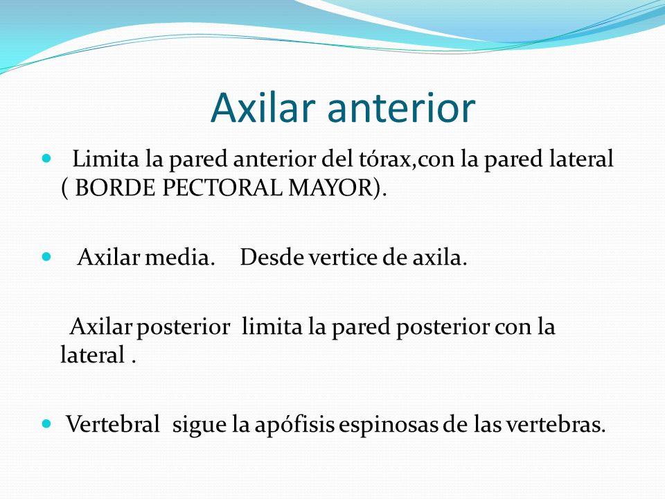 Axilar anterior Limita la pared anterior del tórax,con la pared lateral ( BORDE PECTORAL MAYOR). Axilar media. Desde vertice de axila.
