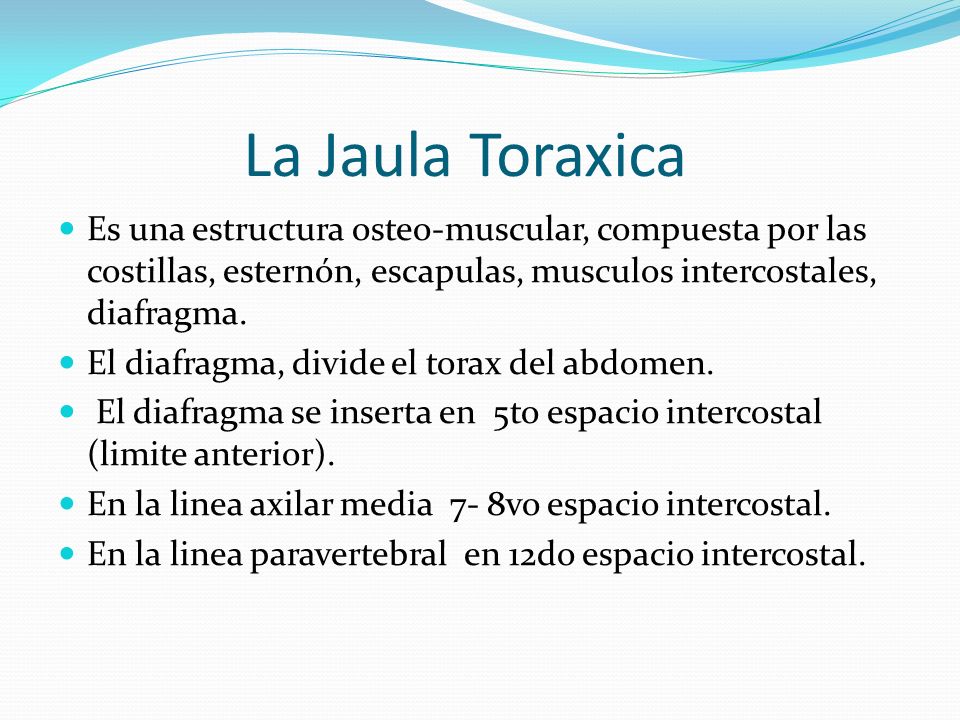 La Jaula Toraxica Es una estructura osteo-muscular, compuesta por las costillas, esternón, escapulas, musculos intercostales, diafragma.