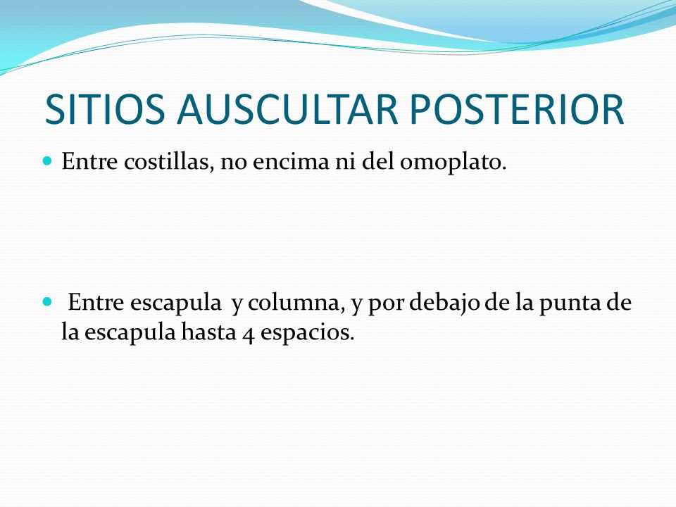 SITIOS AUSCULTAR POSTERIOR