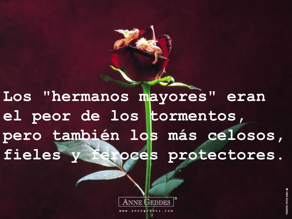 Los hermanos mayores eran el peor de los tormentos, pero también los más celosos, fieles y feroces protectores.