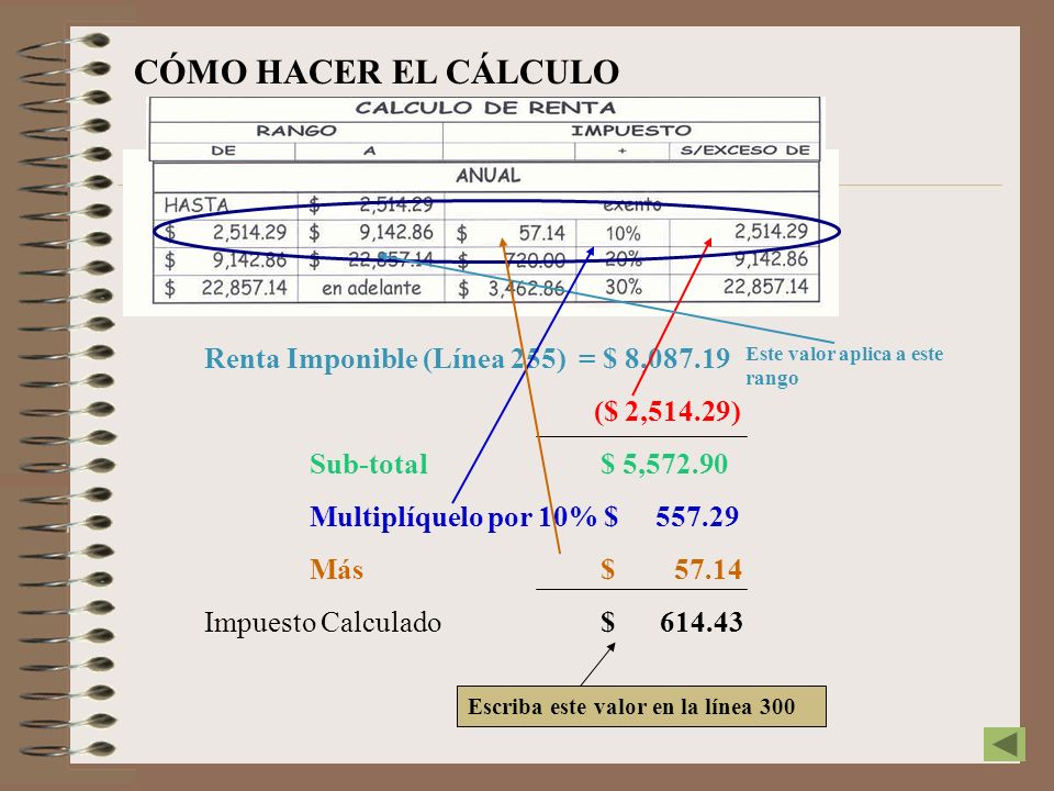 CÓMO HACER EL CÁLCULO Renta Imponible (Línea 255) = $ 8,087.19