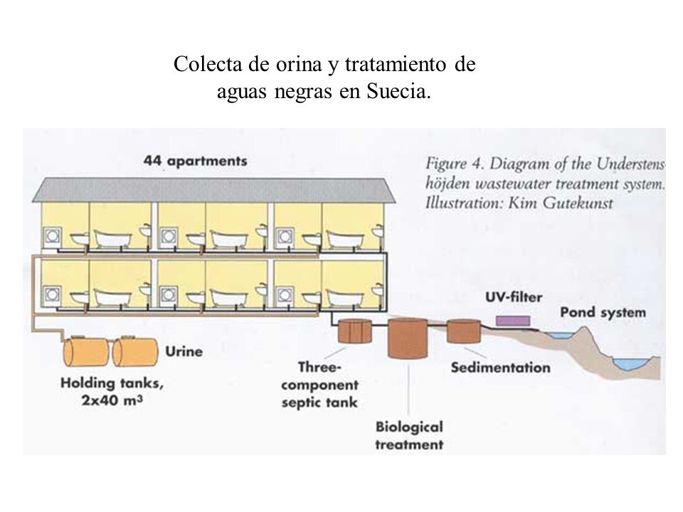 Colecta de orina y tratamiento de aguas negras en Suecia.