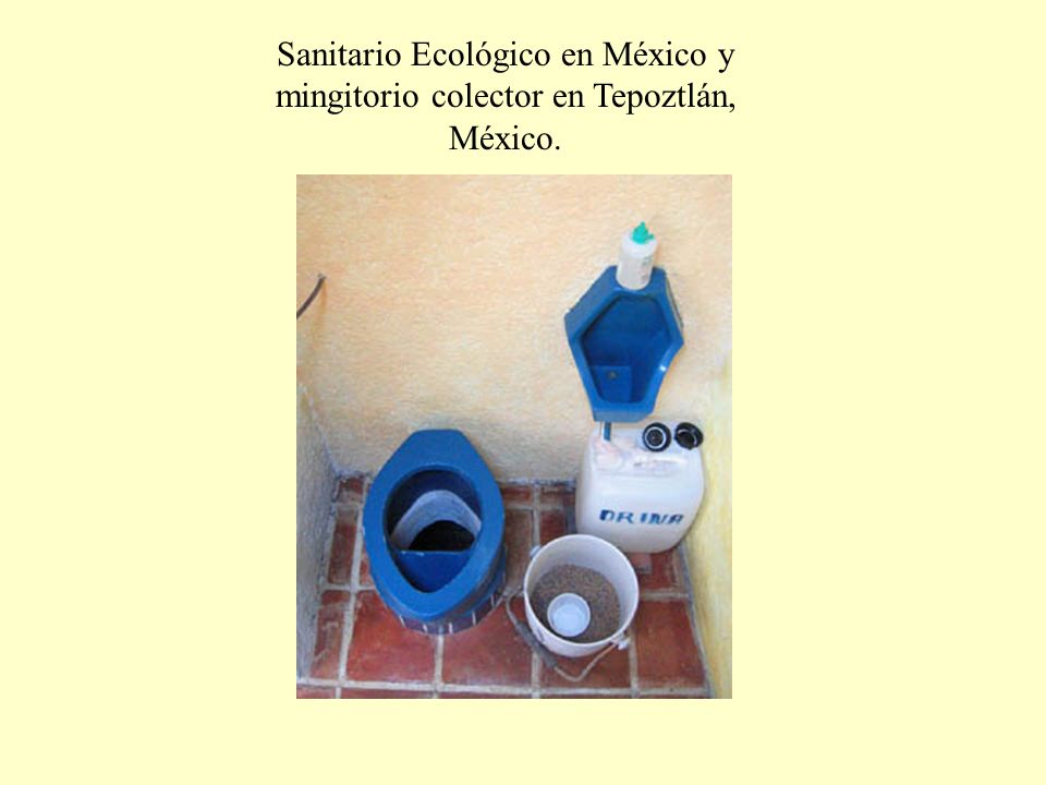 Sanitario Ecológico en México y mingitorio colector en Tepoztlán, México.