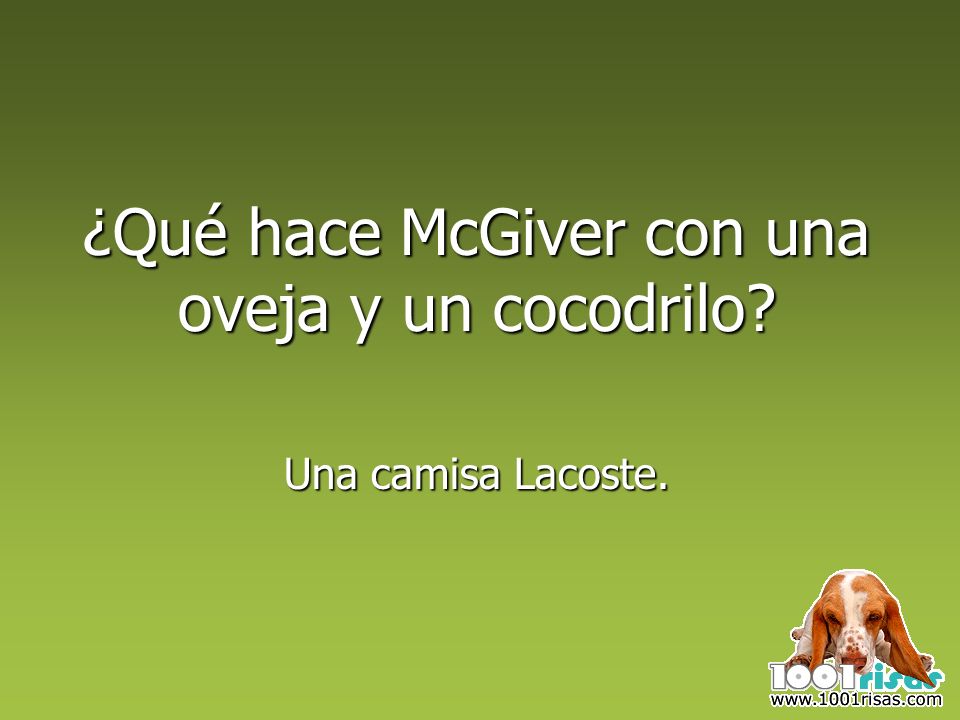 ¿Qué hace McGiver con una oveja y un cocodrilo Una camisa Lacoste.