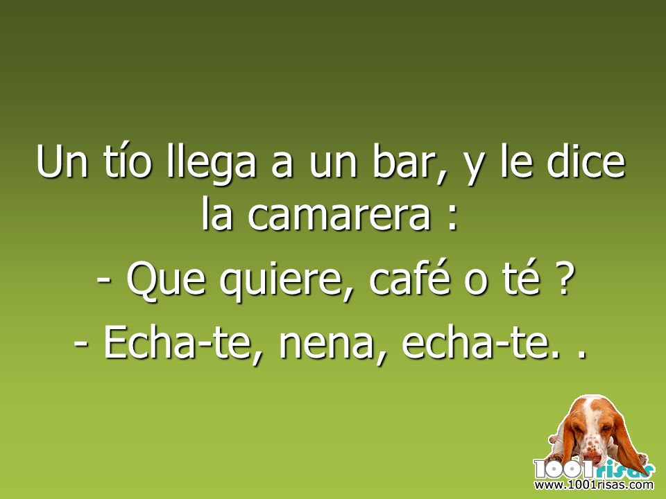 Un tío llega a un bar, y le dice la camarera :