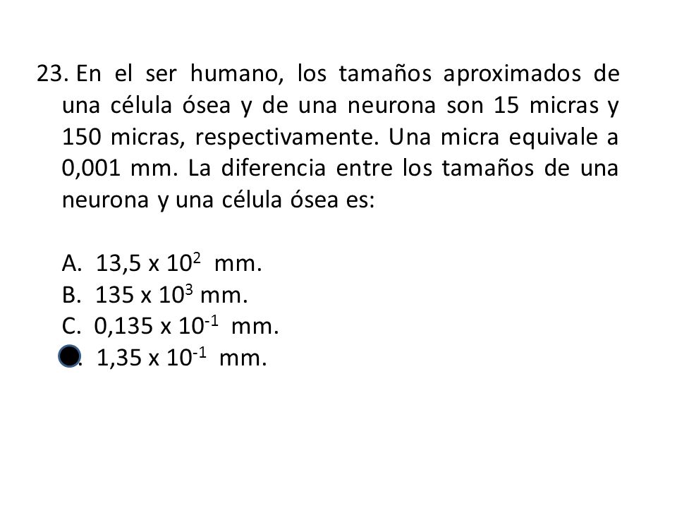 En el ser humano, los tamaños aproximados de una célula ósea y de una neurona son 15 micras y 150 micras, respectivamente. Una micra equivale a 0,001 mm. La diferencia entre los tamaños de una neurona y una célula ósea es: