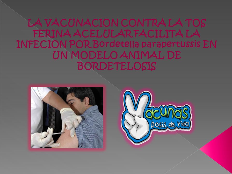 LA VACUNACION CONTRA LA TOS FERINA ACELULAR FACILITA LA INFECION POR Bordetella parapertussis EN UN MODELO ANIMAL DE BORDETELOSIS