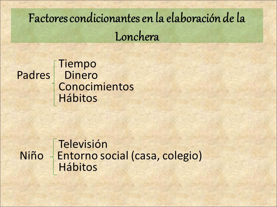 Factores condicionantes en la elaboración de la Lonchera
