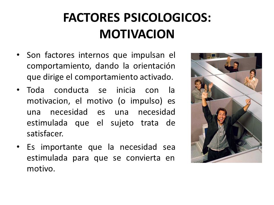 FACTORES PSICOLOGICOS: MOTIVACION