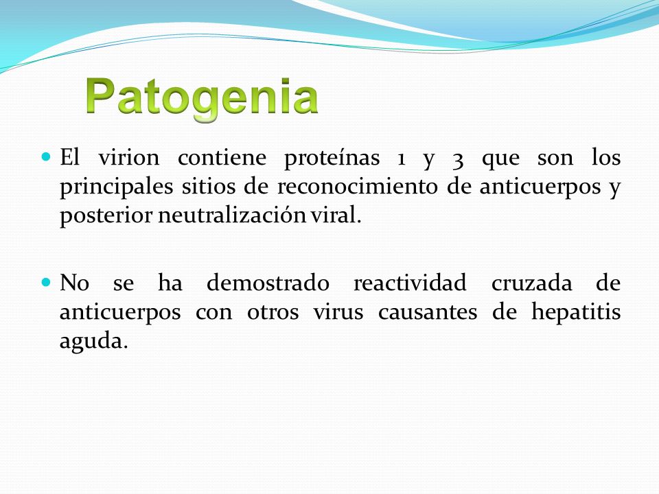 Patogenia El virion contiene proteínas 1 y 3 que son los principales sitios de reconocimiento de anticuerpos y posterior neutralización viral.