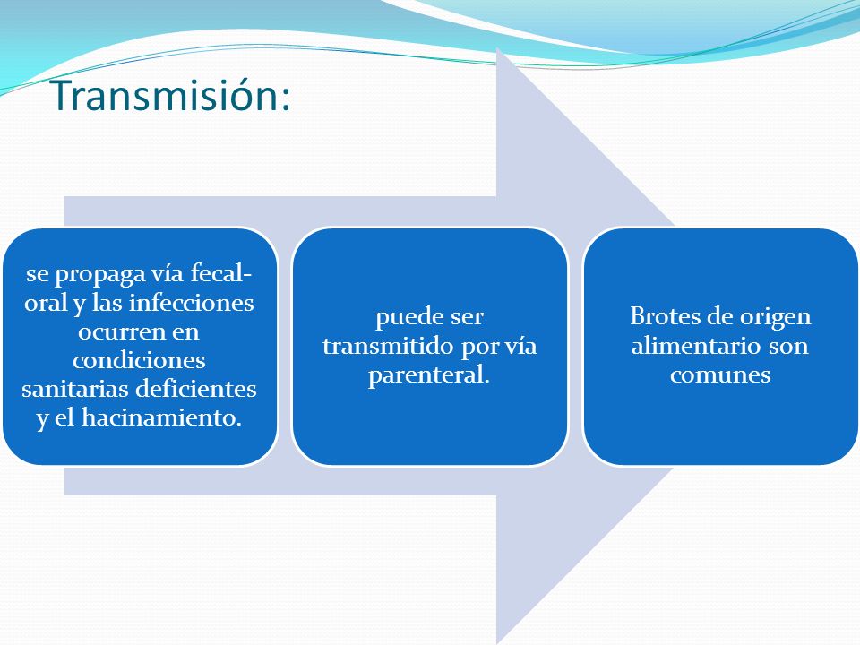 se propaga vía fecal-oral y las infecciones ocurren en condiciones sanitarias deficientes y el hacinamiento.