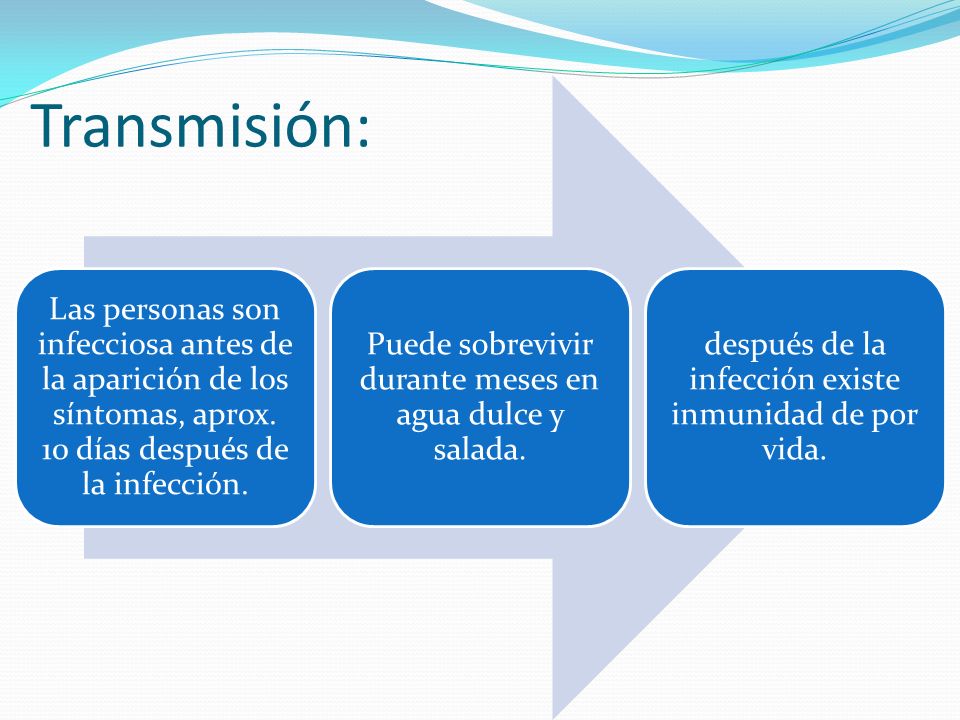 Transmisión: Las personas son infecciosa antes de la aparición de los síntomas, aprox. 10 días después de la infección.