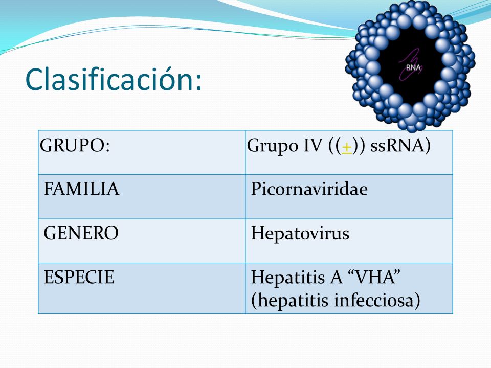 Clasificación: GRUPO: Grupo IV ((+)) ssRNA) FAMILIA Picornaviridae