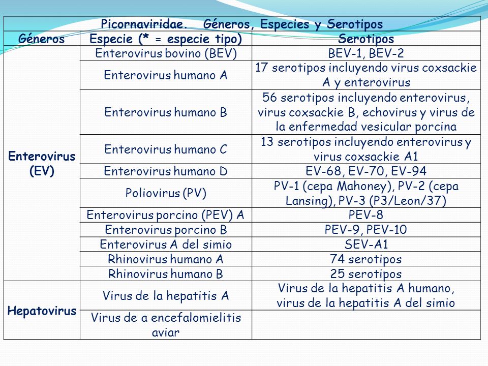 Picornaviridae. Géneros, Especies y Serotipos Géneros