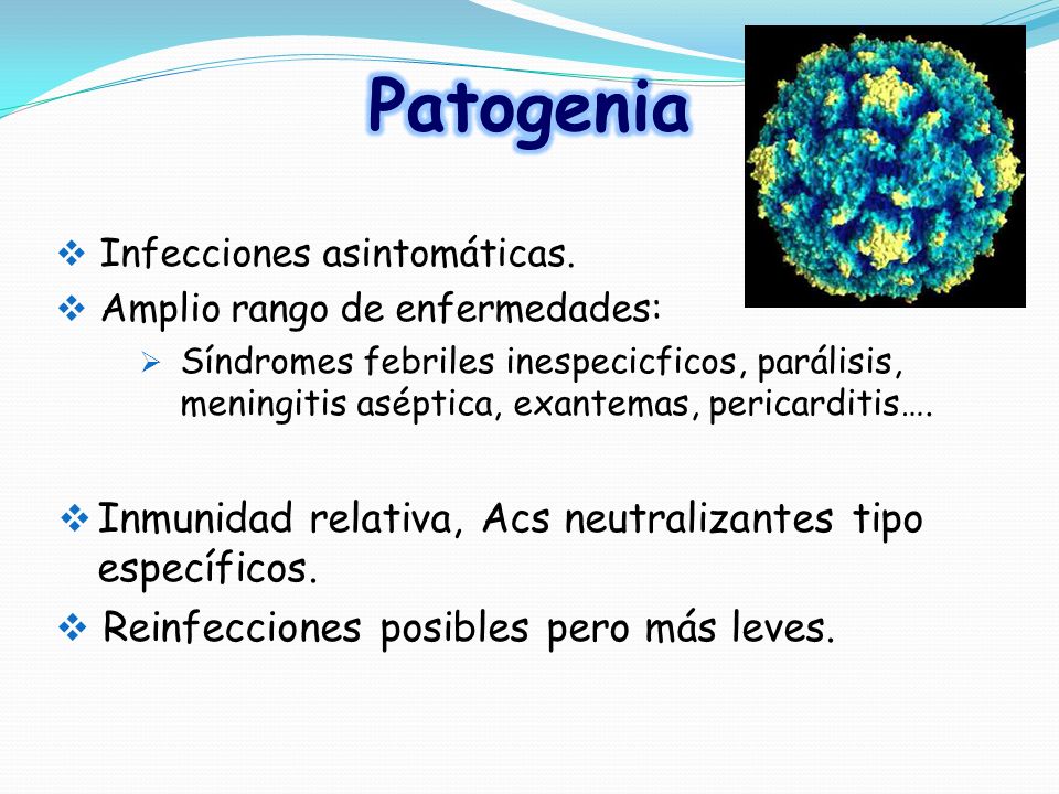 Patogenia Inmunidad relativa, Acs neutralizantes tipo específicos.