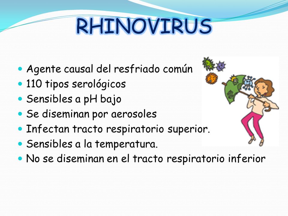 RHINOVIRUS Agente causal del resfriado común 110 tipos serológicos