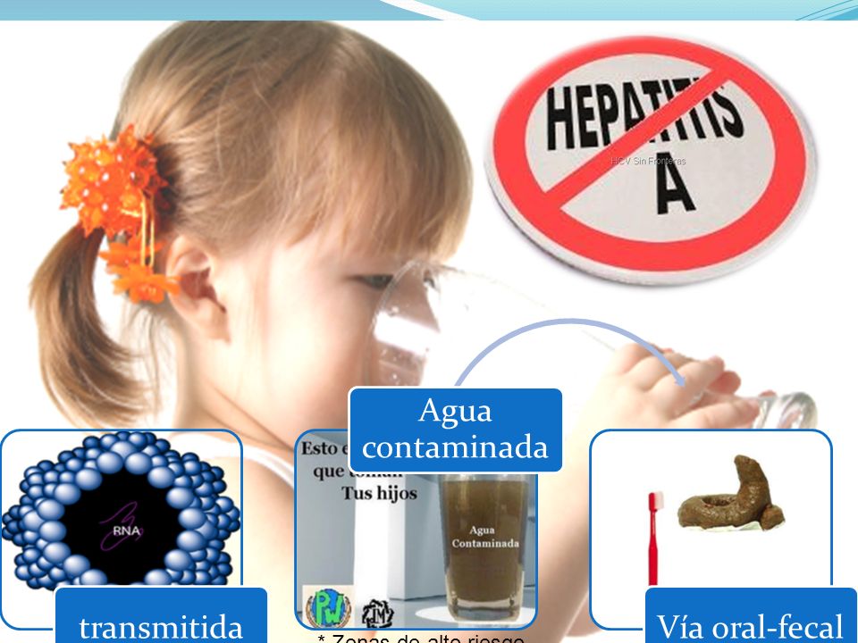 transmitida Agua contaminada Vía oral-fecal * Zonas de alto riesgo.