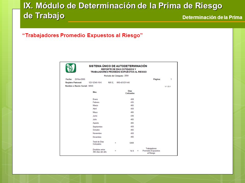 IX. Módulo de Determinación de la Prima de Riesgo de Trabajo
