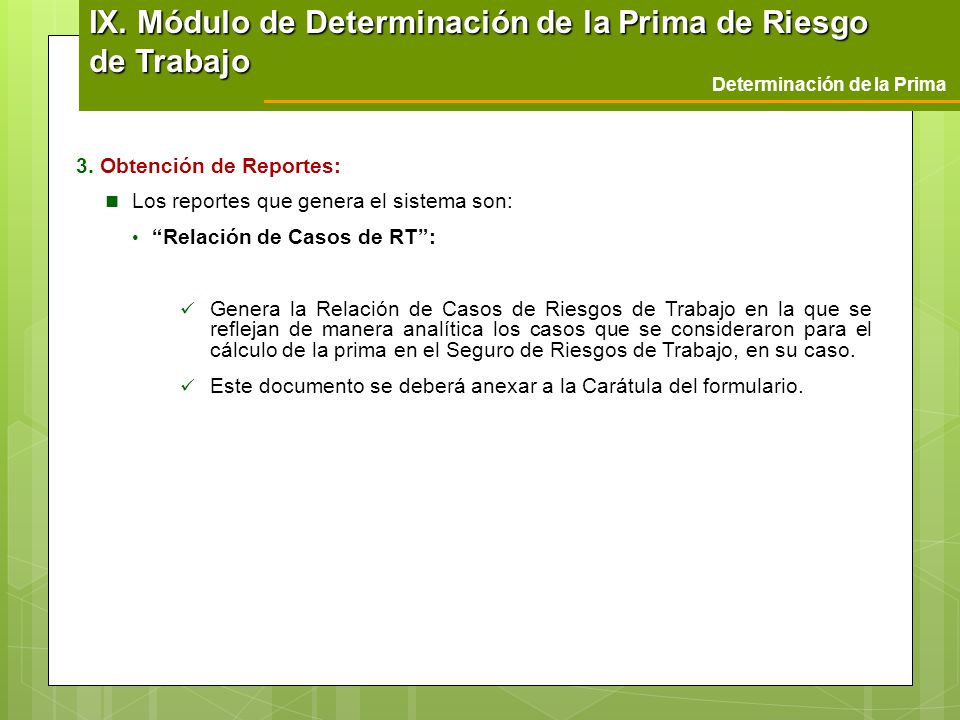 IX. Módulo de Determinación de la Prima de Riesgo de Trabajo