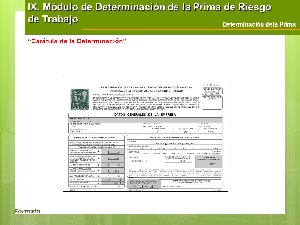 IX. Módulo de Determinación de la Prima de Riesgo de Trabajo