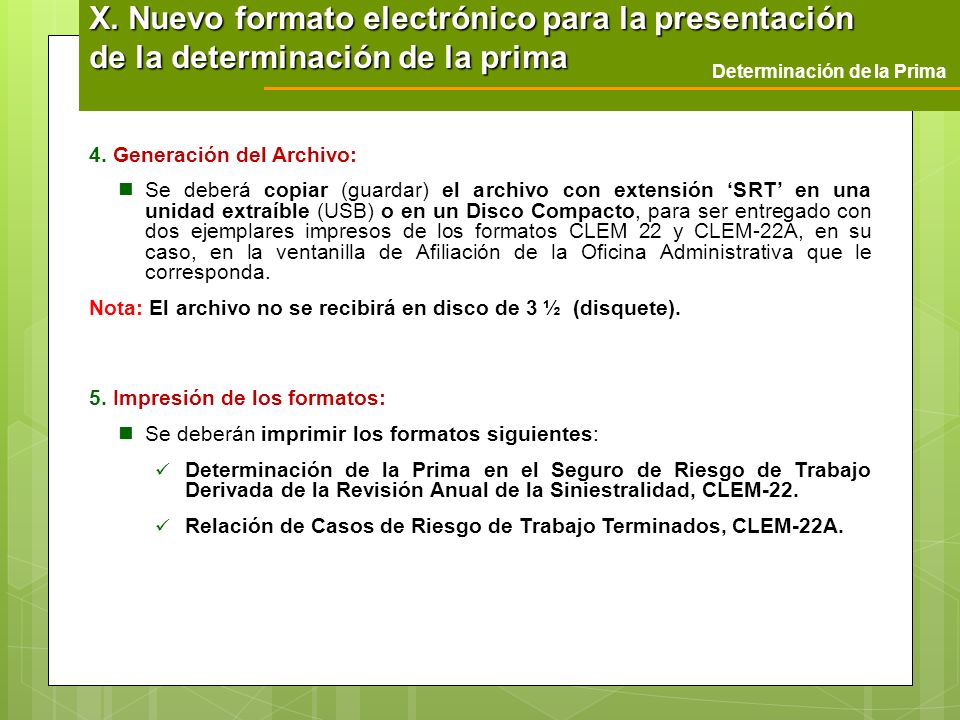 X. Nuevo formato electrónico para la presentación de la determinación de la prima