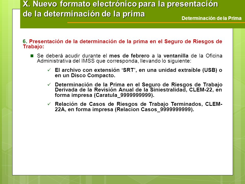 X. Nuevo formato electrónico para la presentación de la determinación de la prima
