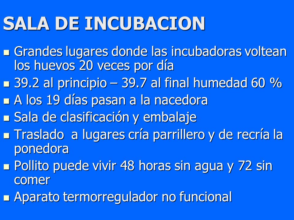 SALA DE INCUBACION Grandes lugares donde las incubadoras voltean los huevos 20 veces por día al principio – 39.7 al final humedad 60 %