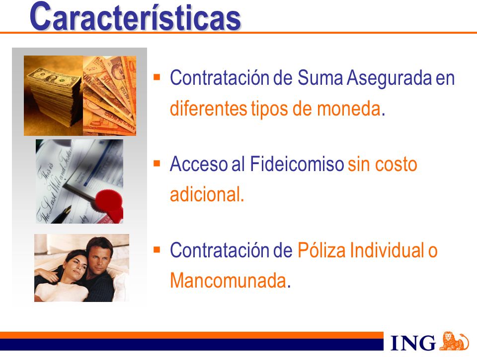 Características Contratación de Suma Asegurada en diferentes tipos de moneda. Acceso al Fideicomiso sin costo adicional.