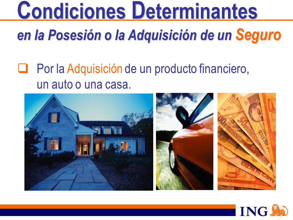 Condiciones Determinantes en la Posesión o la Adquisición de un Seguro