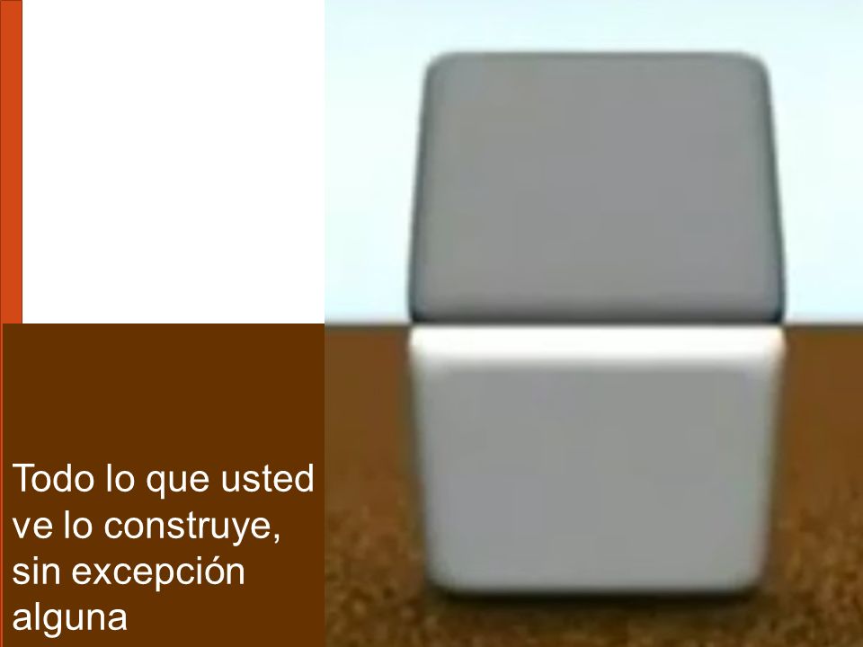 Todo lo que usted ve lo construye, sin excepción alguna