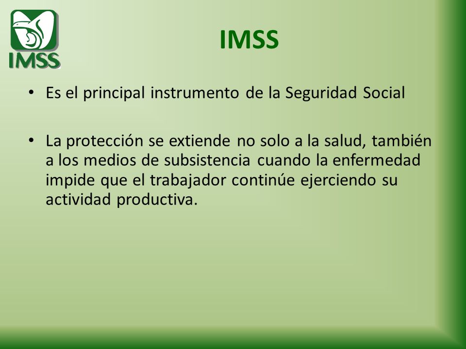 IMSS Es el principal instrumento de la Seguridad Social
