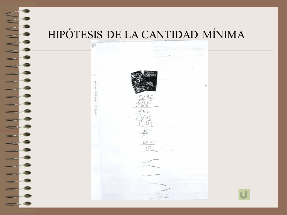 HIPÓTESIS DE LA CANTIDAD MÍNIMA